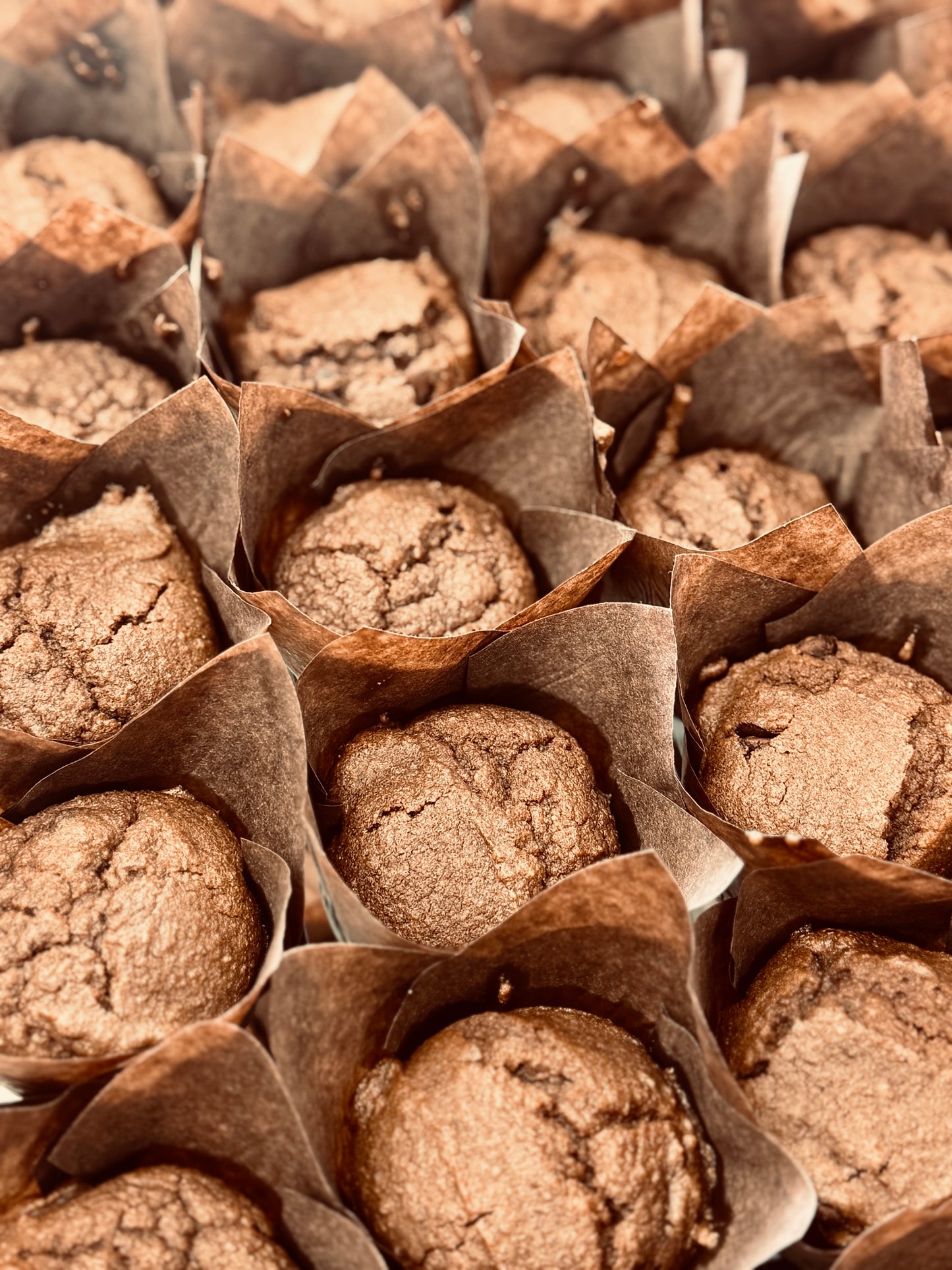 6 x Fully Keto Double Belgium Dark Chocolate Chip Muffins (FREEZER FRIENDLY) 600g
