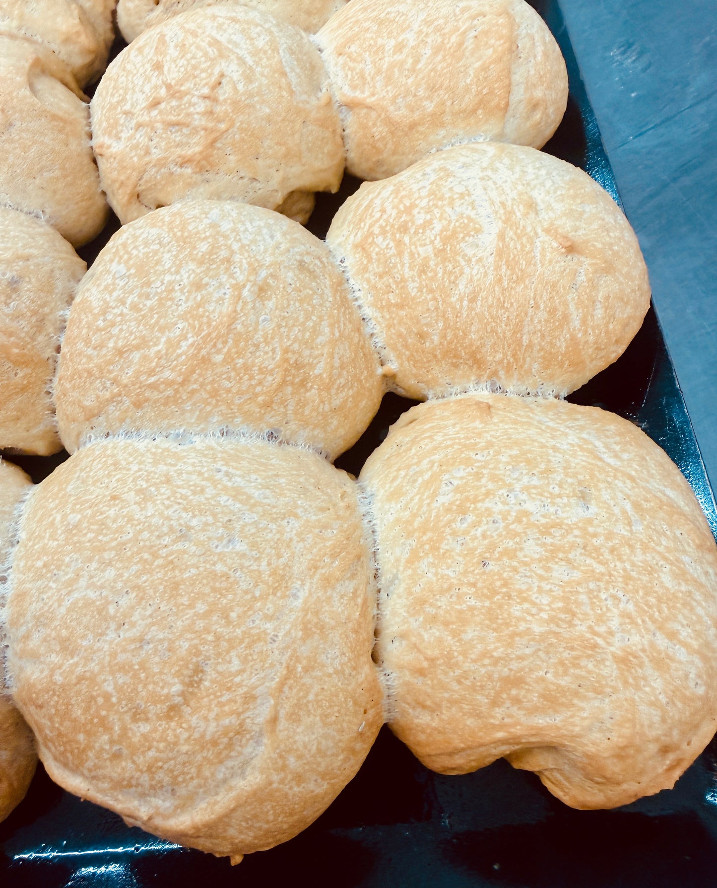 Ultra Low Carb Rustic Crusty White Rolls 4 x 70g